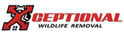 Peachtree City Wildlife Removal